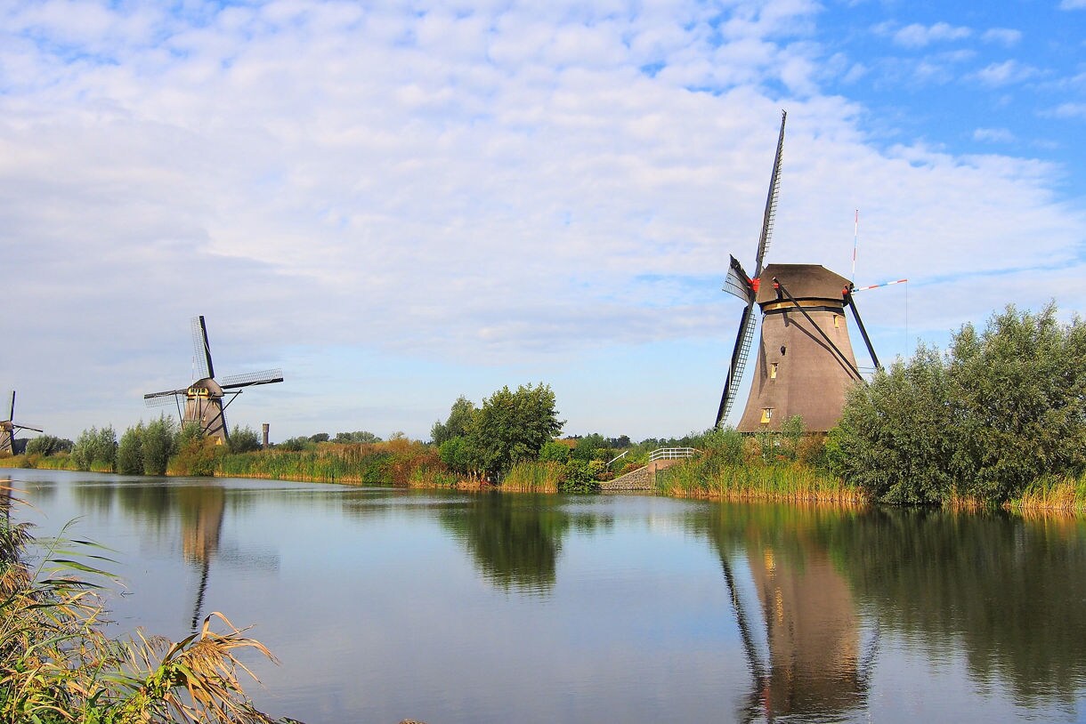 Row of traditional Dutch windmills at Kinderdijk mirrored in a quiet canal, surrounded by green reeds and trees under a partly cloudy sky.