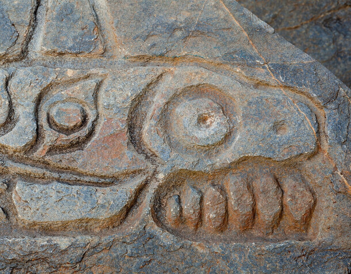 Close-up of a fish-shaped petroglyph carved into rock at Wrangell’s Petroglyph Beach.