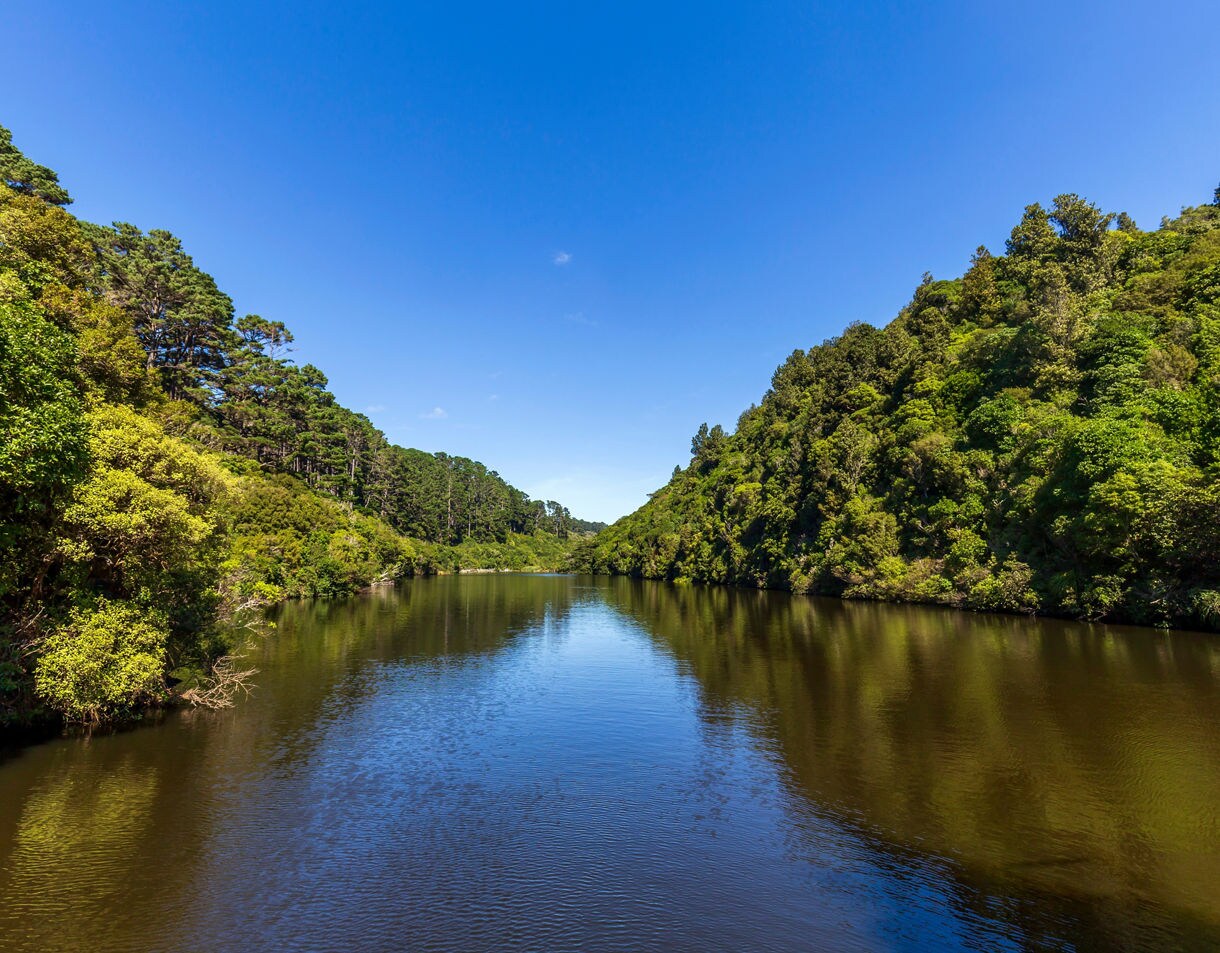 Calm lake surrounded by dense native forest and hills under a clear blue sky at Zealandia wildlife sanctuary.